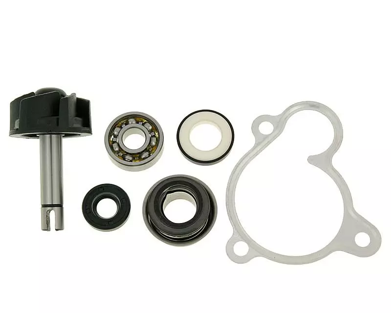 2026_06_19_1247405