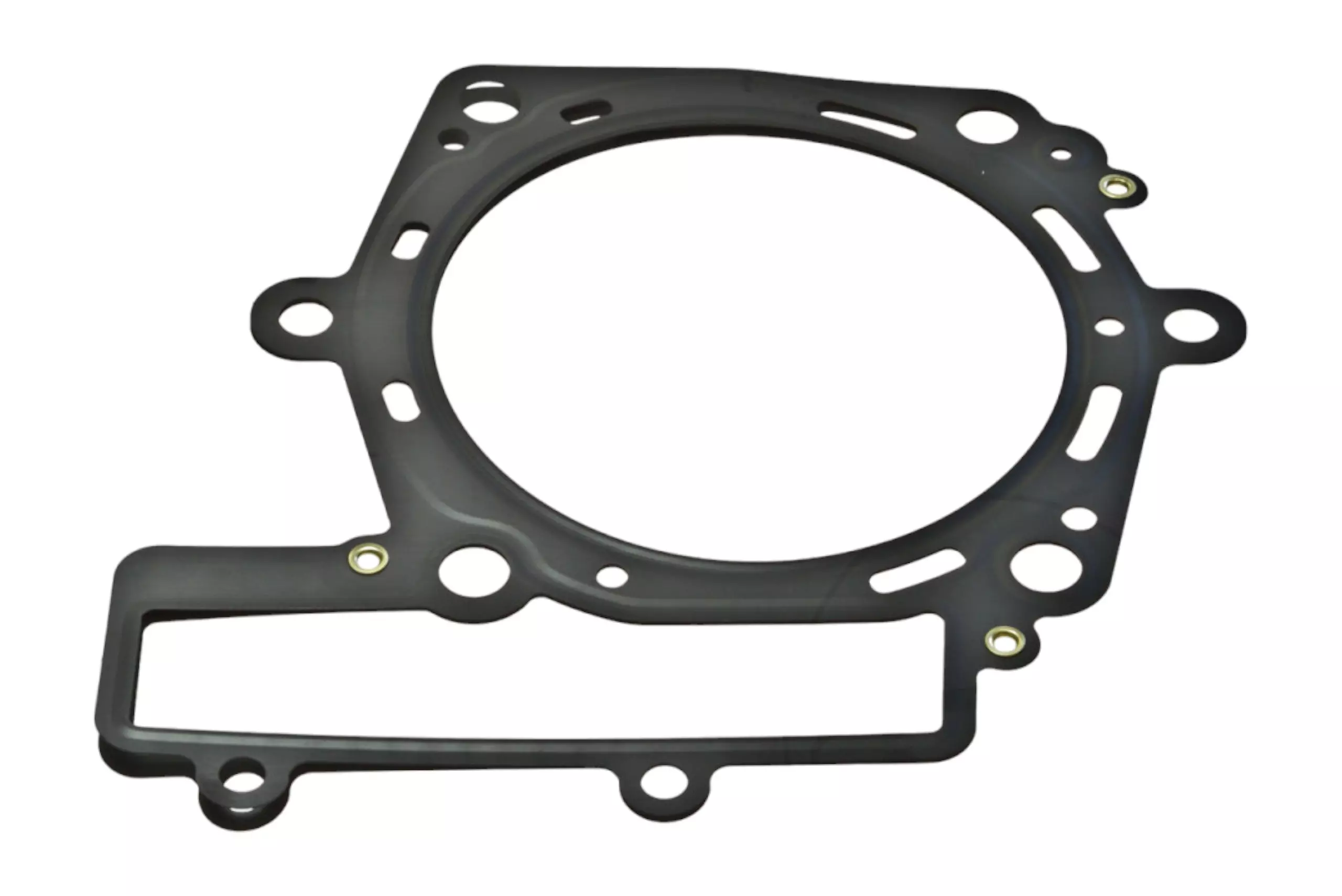 2026_06_19_1341563